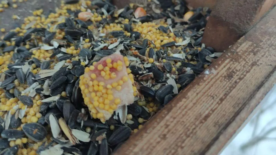 Фото: Микрорайон Малая Истра / Telegram