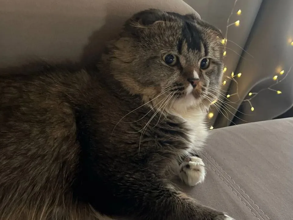 Фото предоставлено жительницей Дзержинского&nbsp;