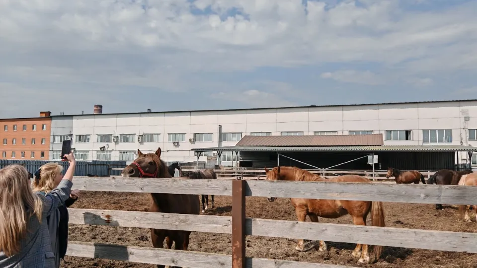 Фото: школа №14 Электрогорска