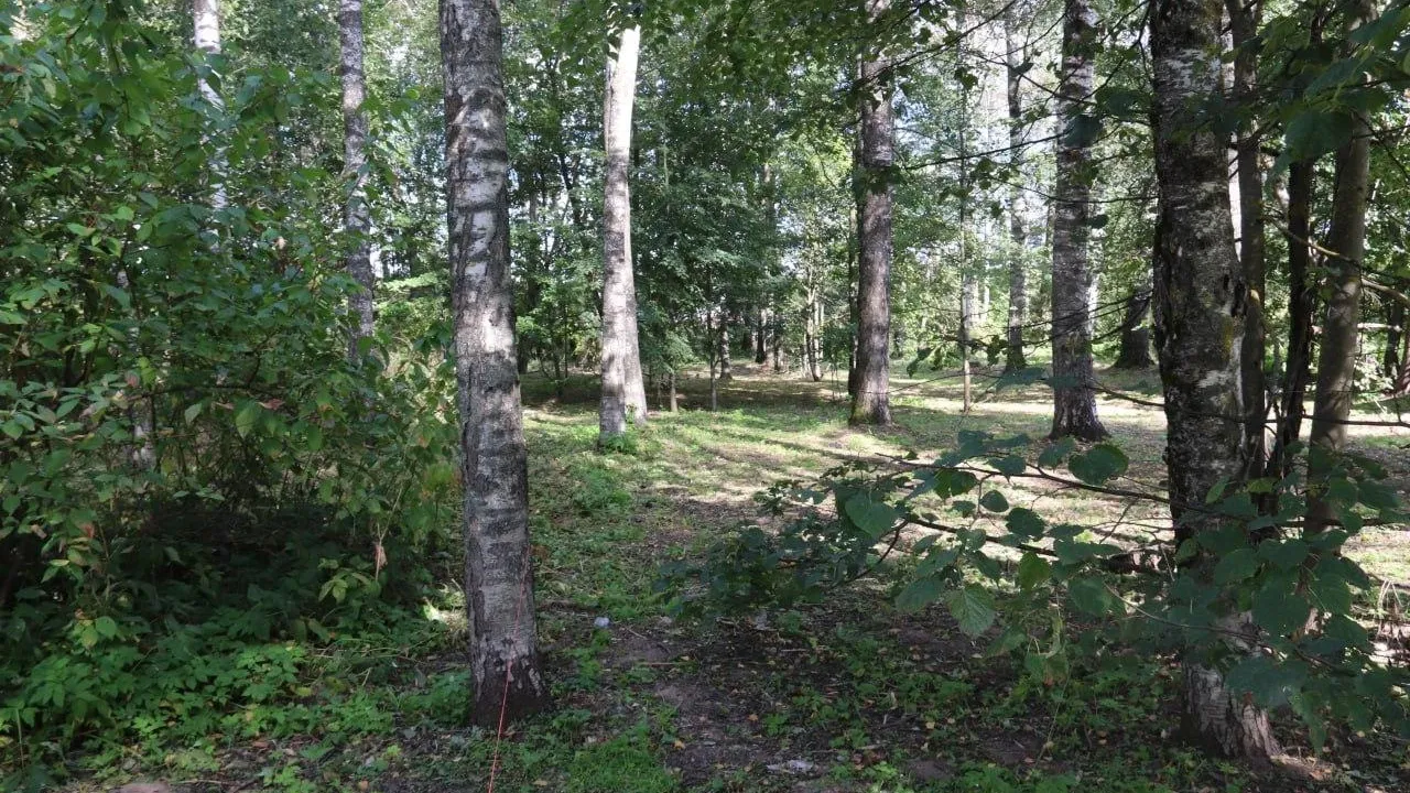 Юрий Крупенин/ ТГ-канал