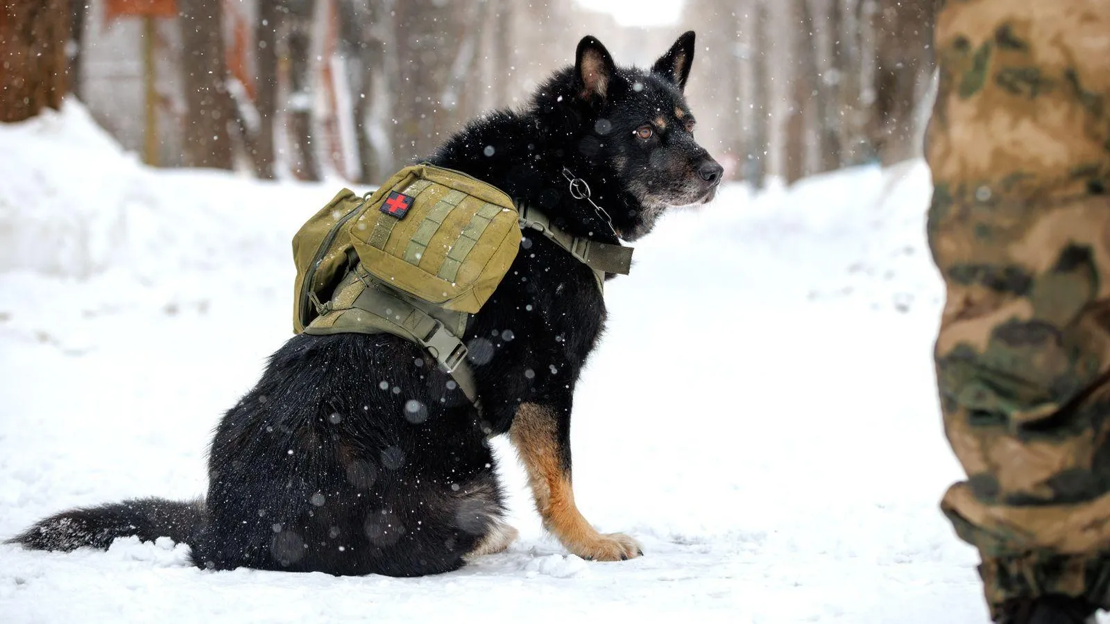пресс-служба префектуры ЗАО города Москвы