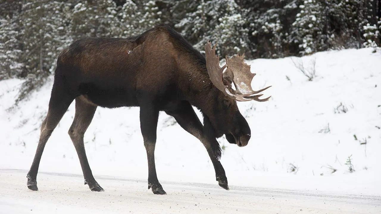 istockphoto.com/Saskia Bauer Photography