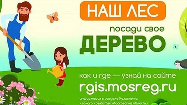 Пресс-служба губернатора и правительства Московской области