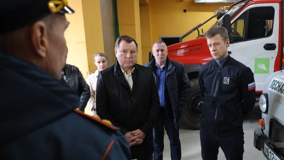 Фото: Комитет лесного хозяйства Московской области