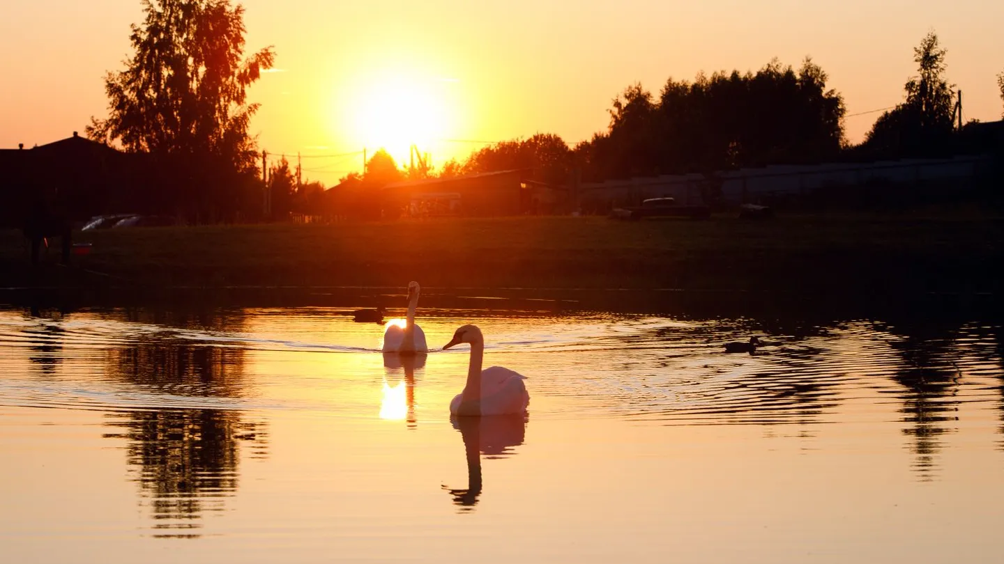Фото: медиасток.рф