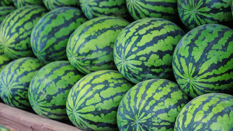 Фото: istockphoto.com