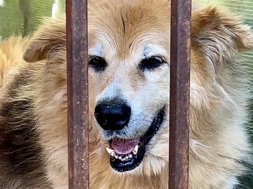 Фото: Анна Тюрюмина&nbsp; &nbsp; &nbsp; &nbsp;