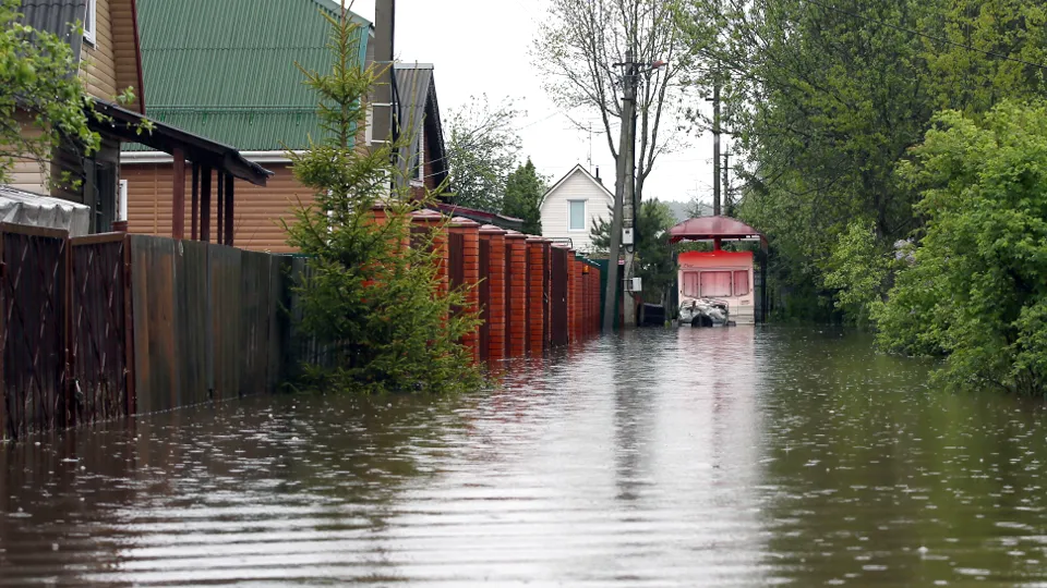 Фото: ТАСС/Владимир Гердо