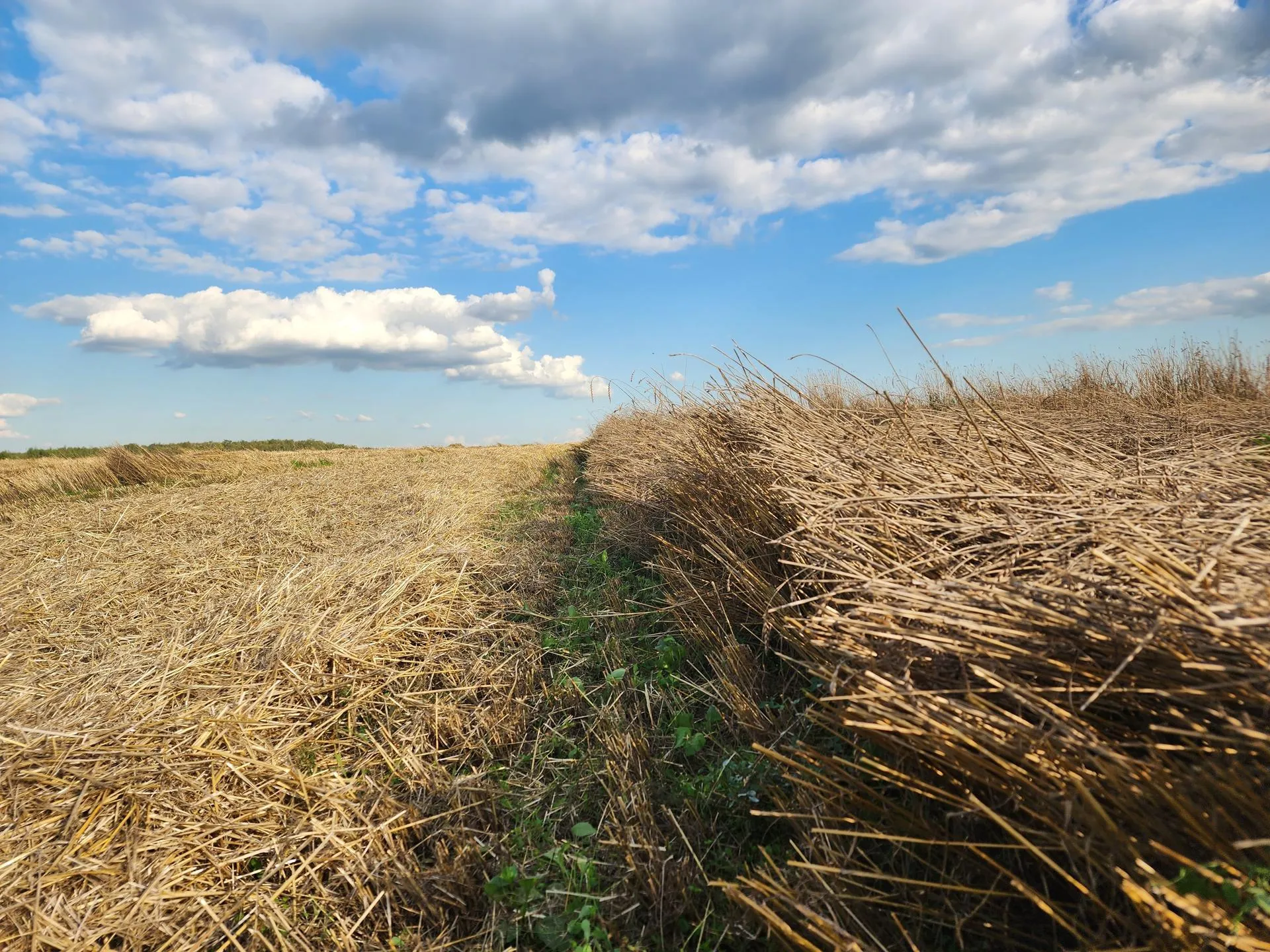 Фото: Андрей Семибратов