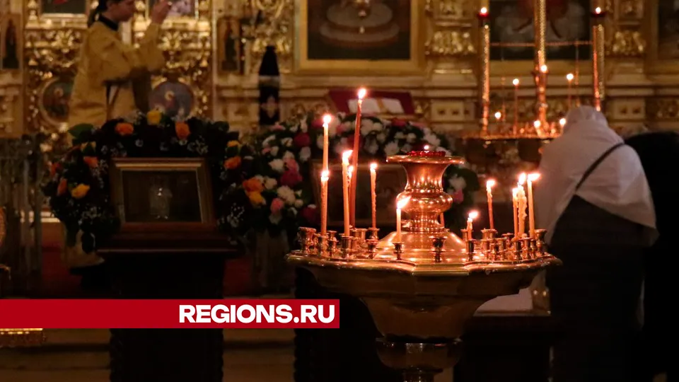 Фото: REGIONS/Василий Тремасов