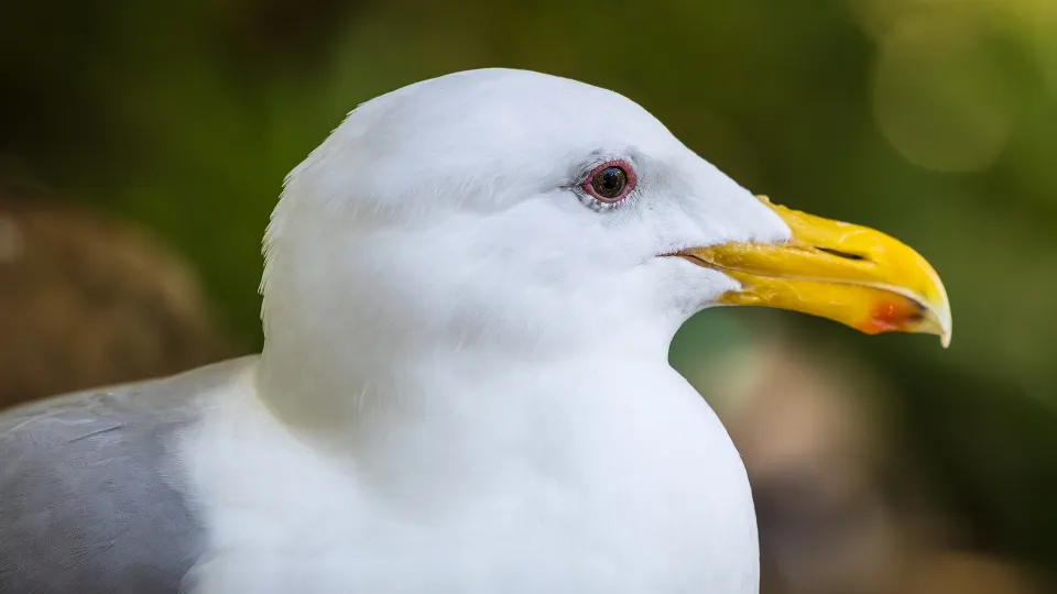 Фото: istockphoto.com