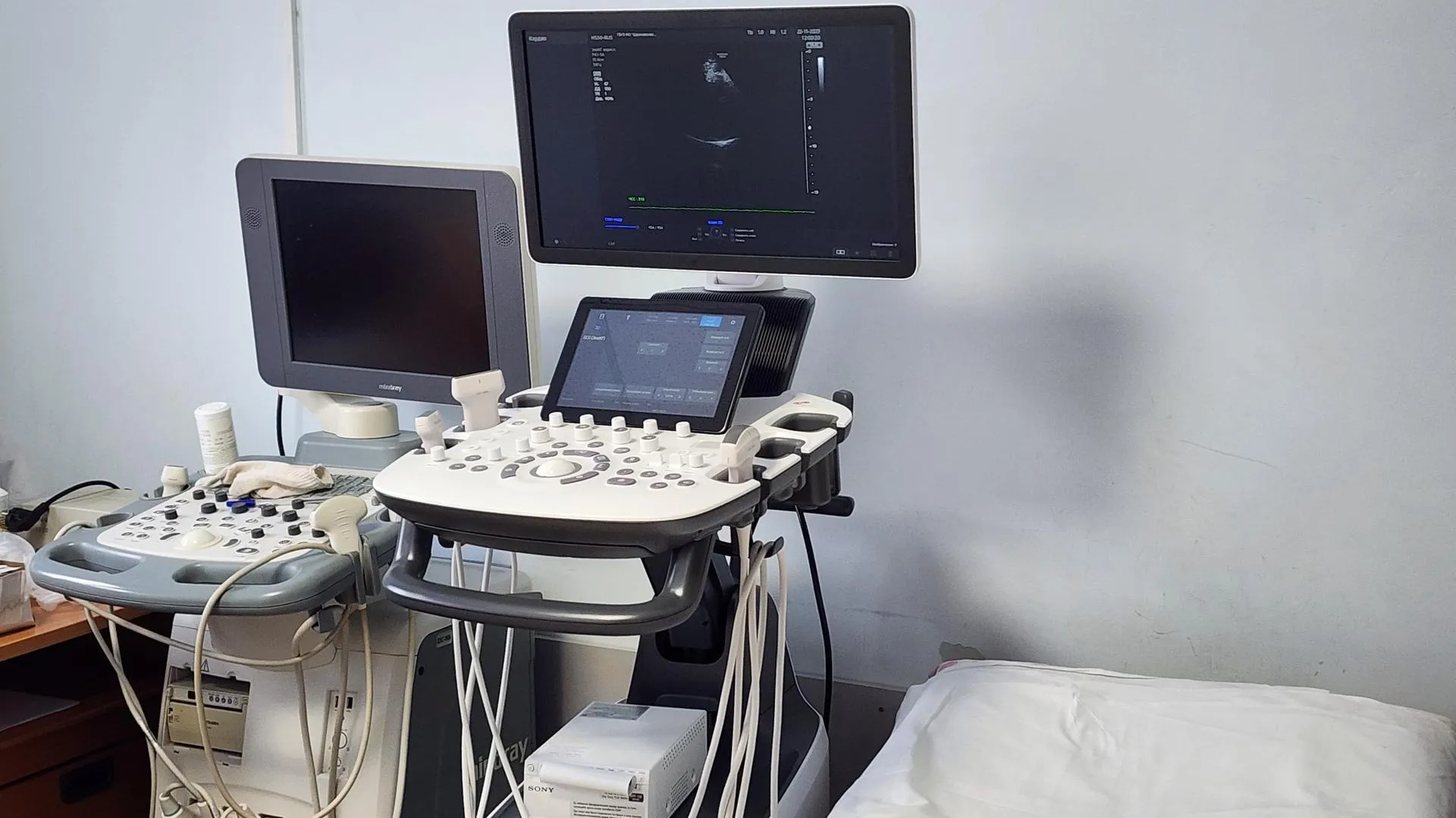 Евгения Корытько