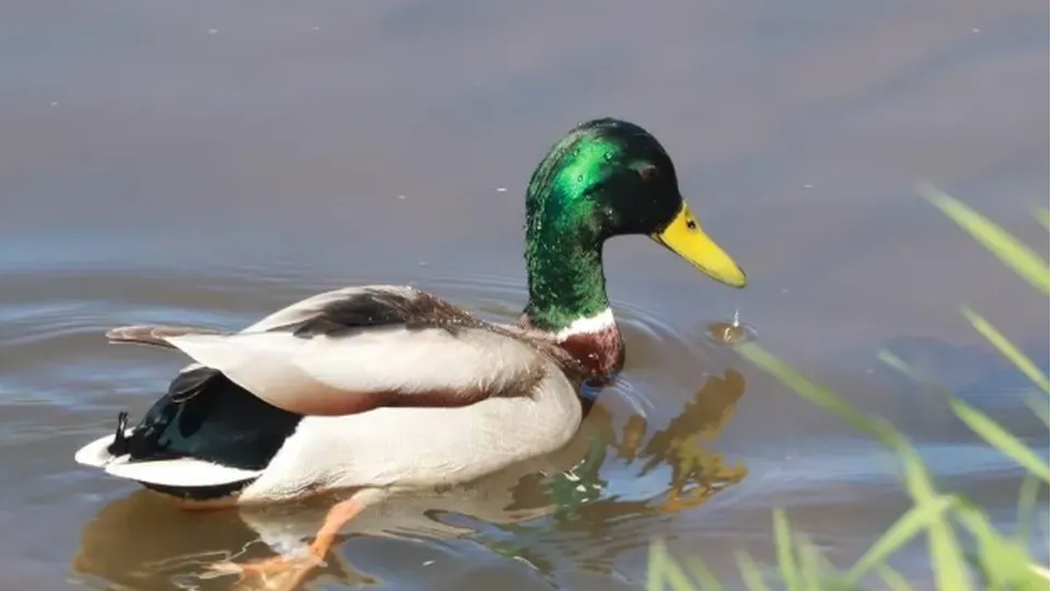 Фото: Минэкологии МО