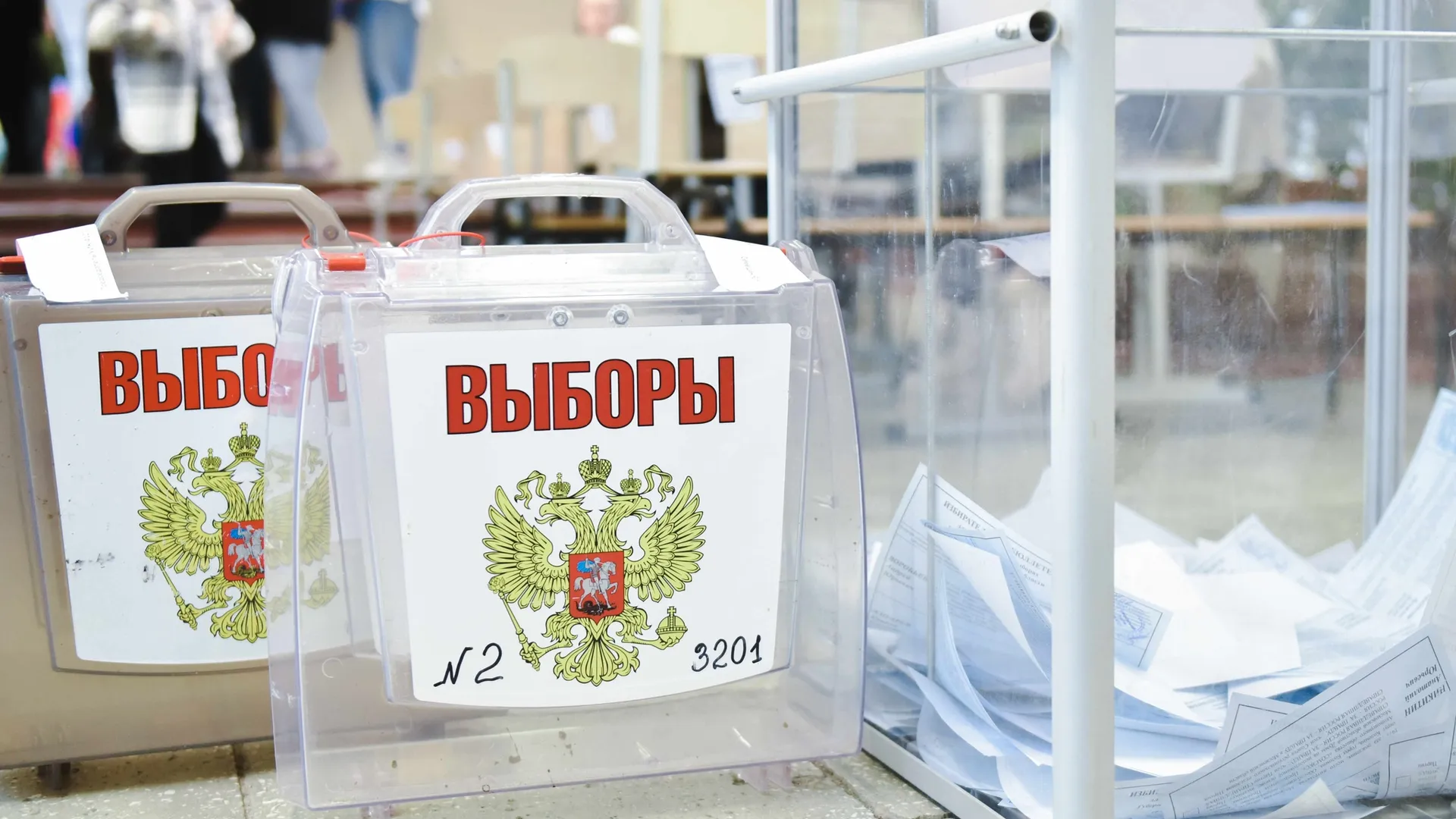 Фото: пресс-служба администрации г.о. Химки