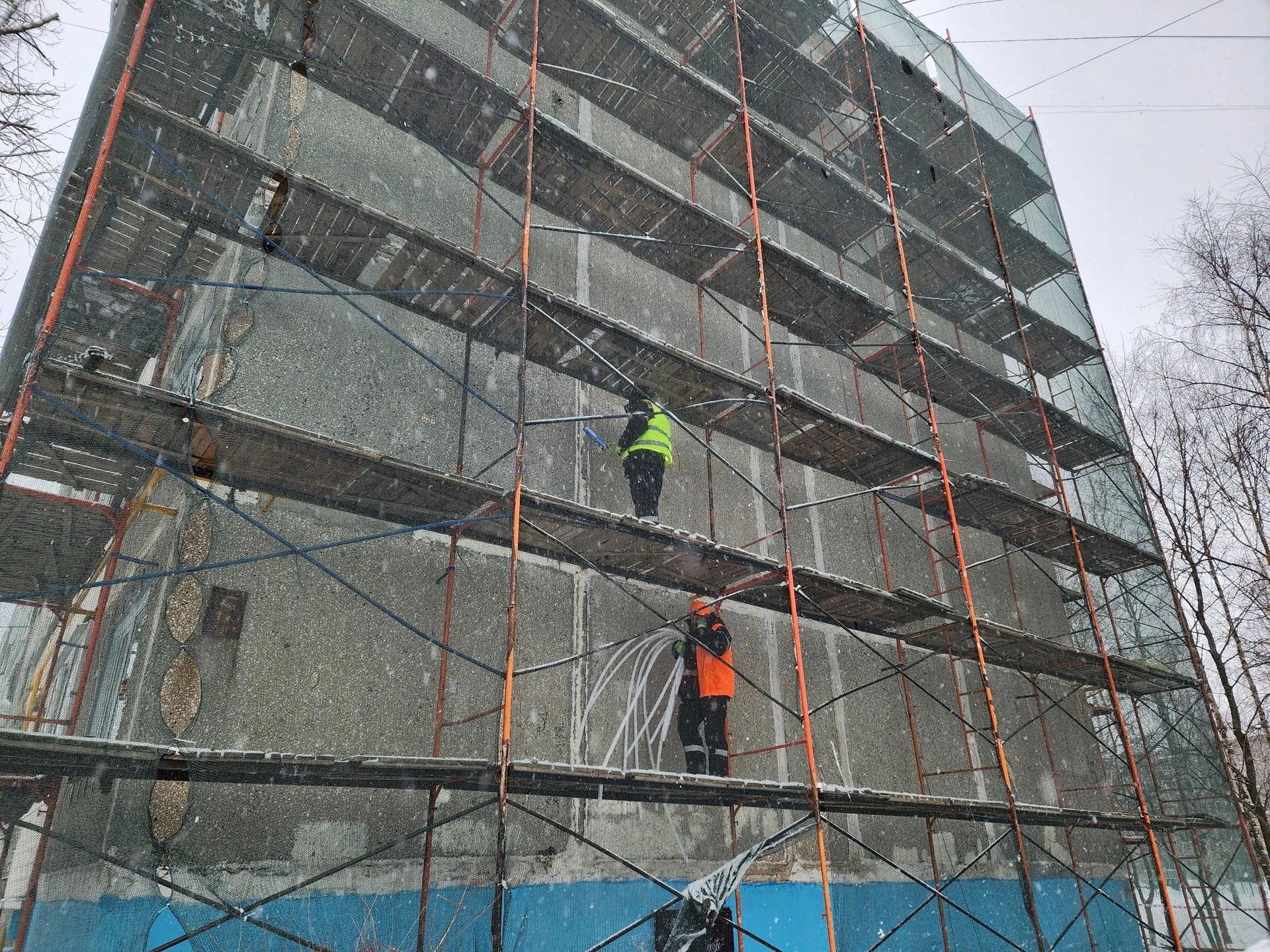 Фото: Светлана Плотникова