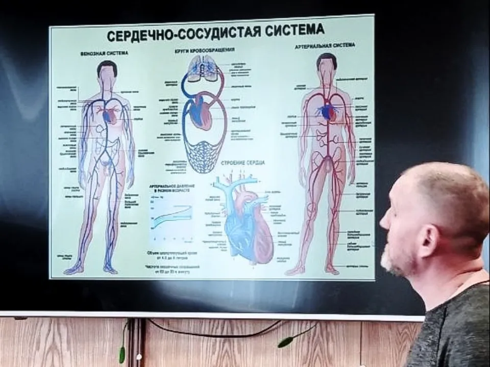 Фото: Министерство образования МО&nbsp;