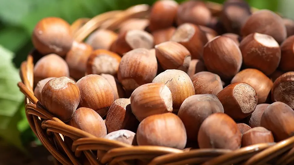 Фото: istockphoto.com/Stefan Tomic