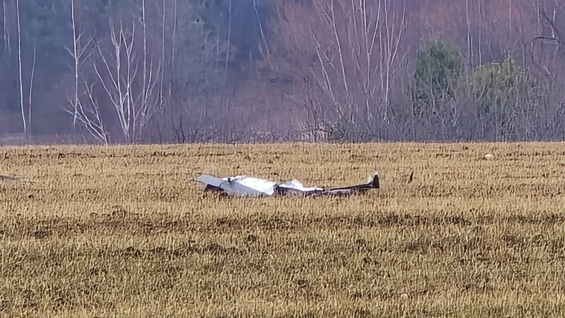 Фото: МедиаБанк Подмосковья/Марина Анисимова