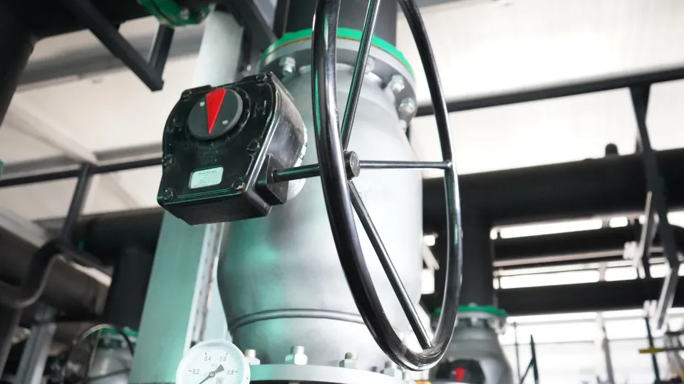 Фото: администрация м.о. Шатура