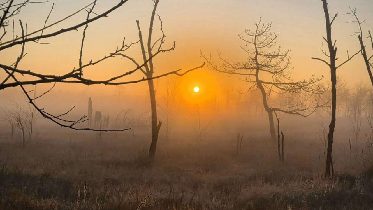 Фото: REGIONS/Анастасия Широкая