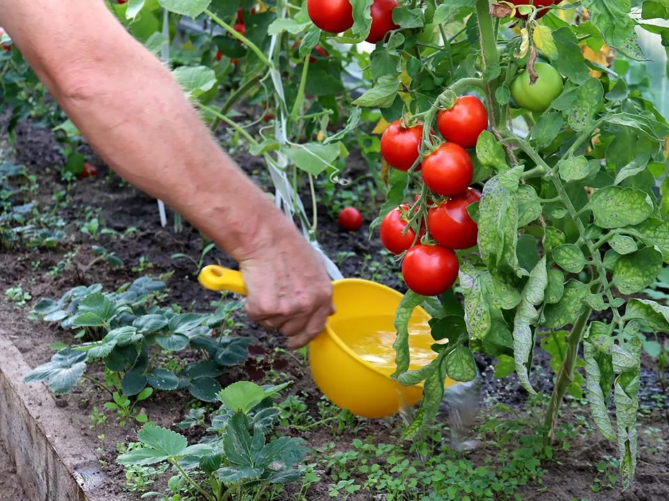 Фото: istockphoto.com