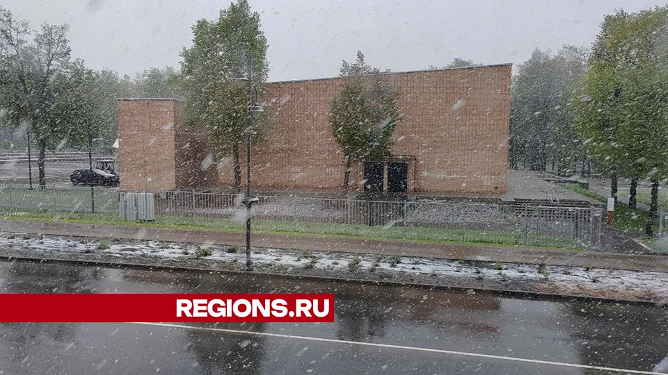 Фото: Евгений Мазепов