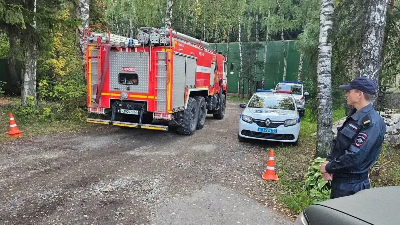 Фото: Глава городского округа Истра Татьяна Витушева/Telegram