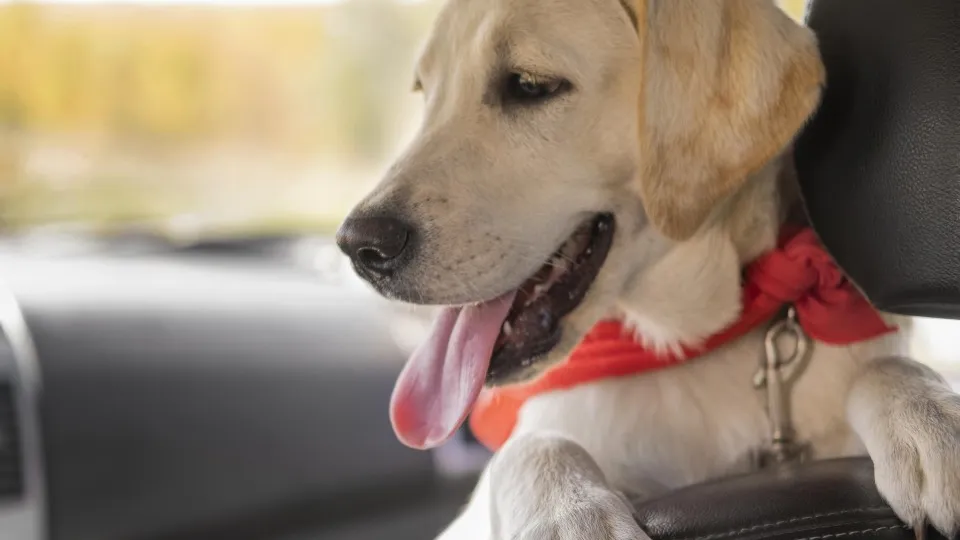 Фото: freepik.com