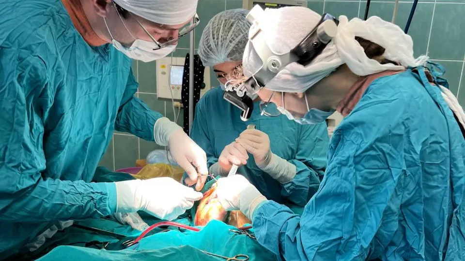 Фото: пресс-служба Минздрава