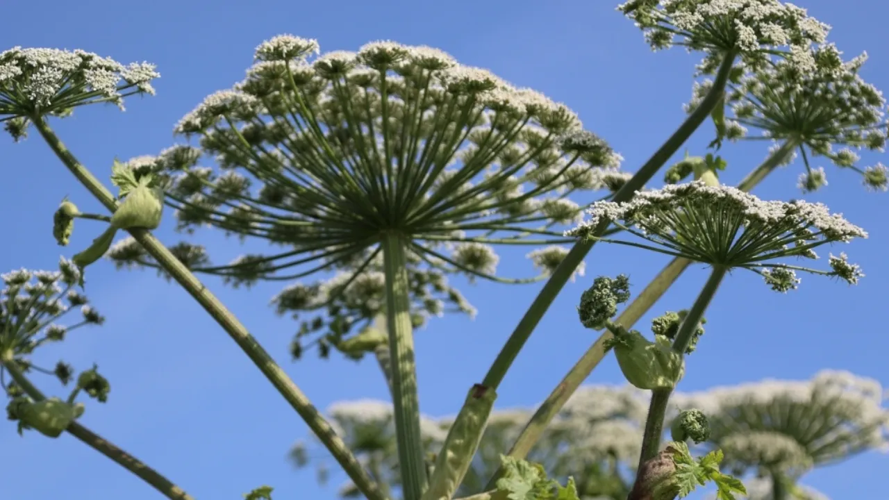 Фото: РИА Новости/Павел Львов
