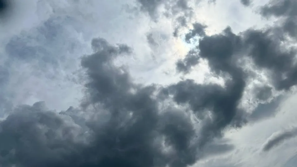 Фото: REGIONS/Елена Забелина