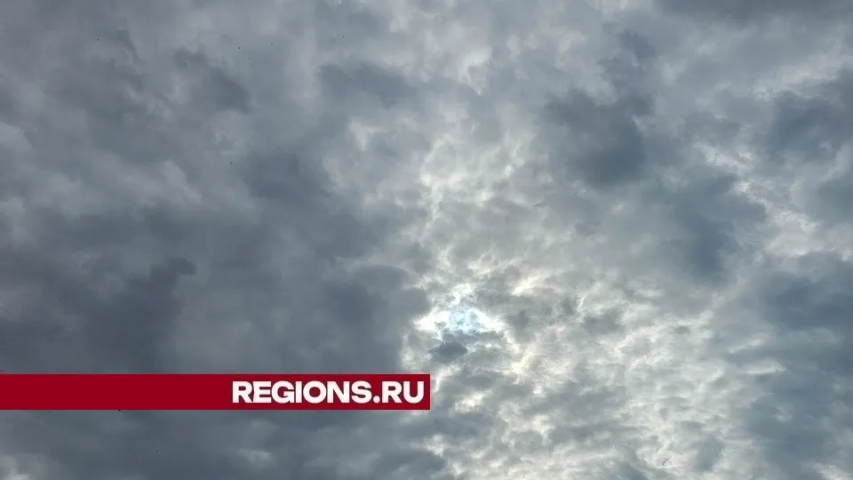 Фото: REGIONS/Александр Дрожжин