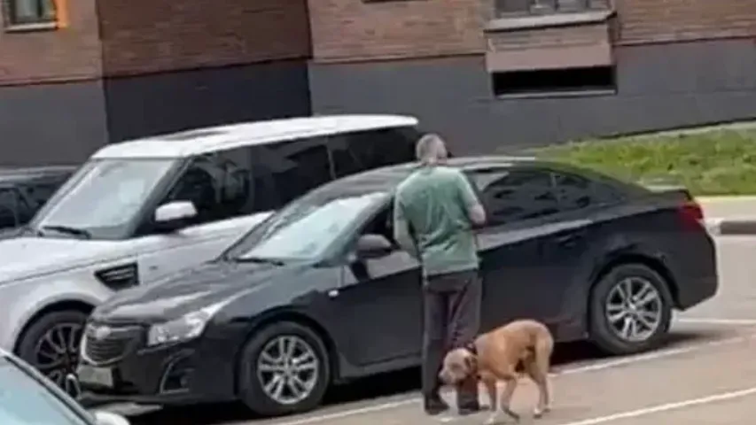 фото: «Московская область 24»