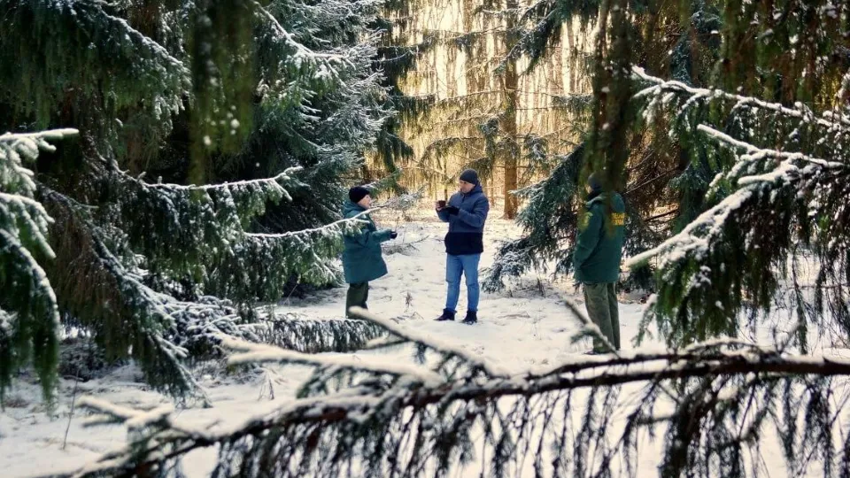 Фото: Комитет лесного хозяйства МО