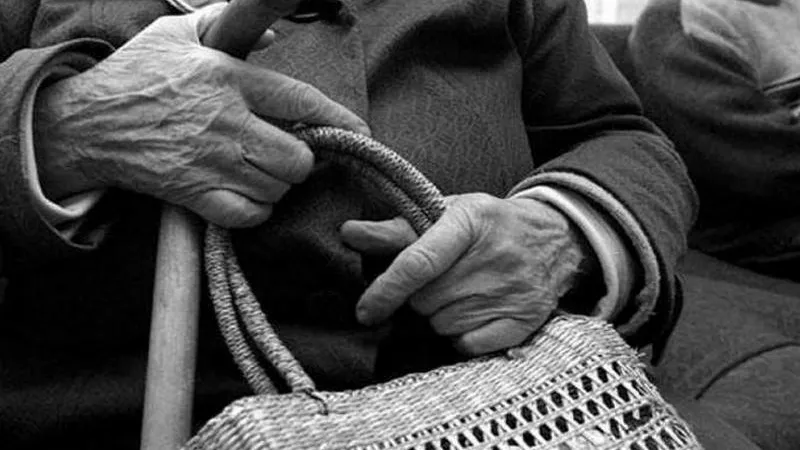Разбойник на Дмитровском шоссе вырвал сумку у 92-летней старушки