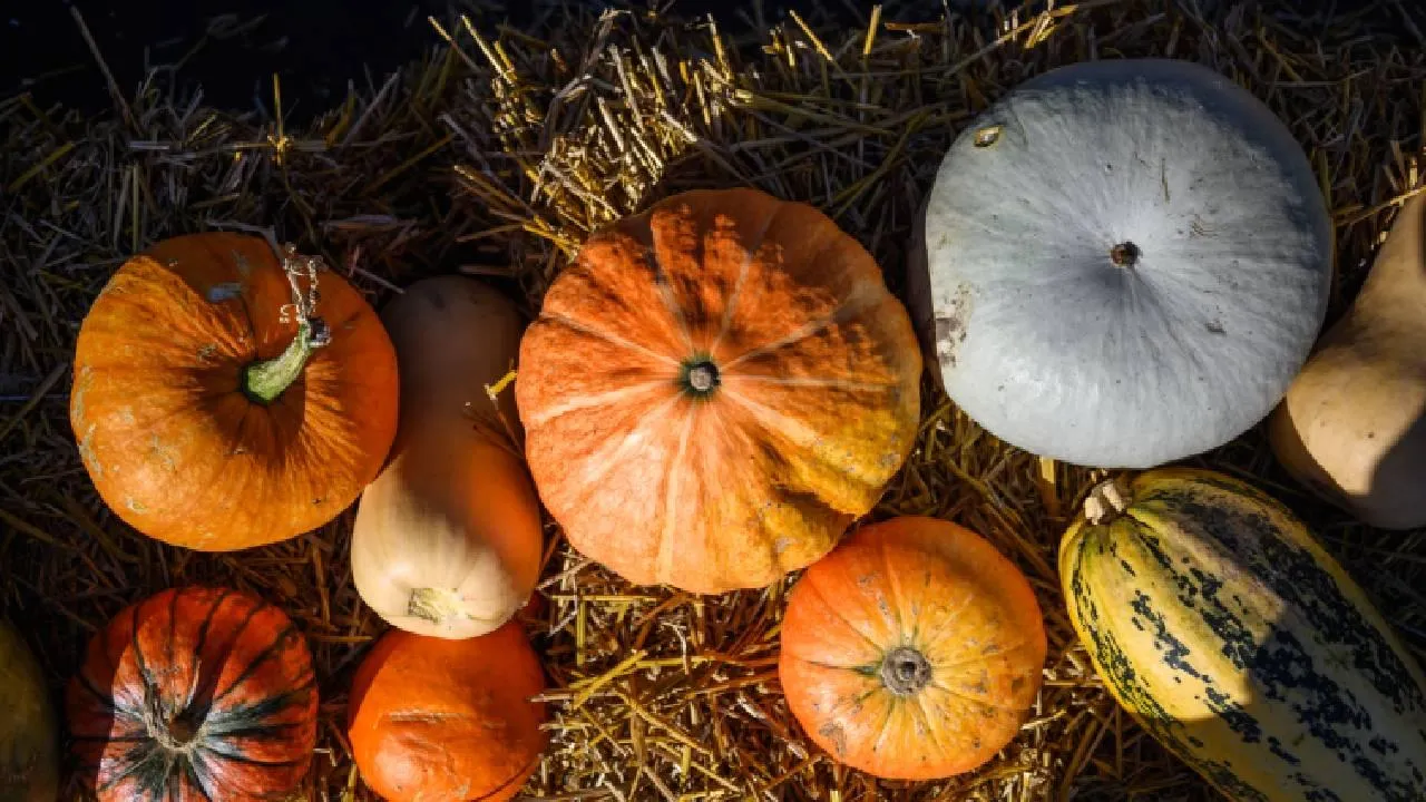 «Можно сравнить Хеллоуин с Масленицей»: религиовед рассказала, как разные религии и культы относятся к праздникам