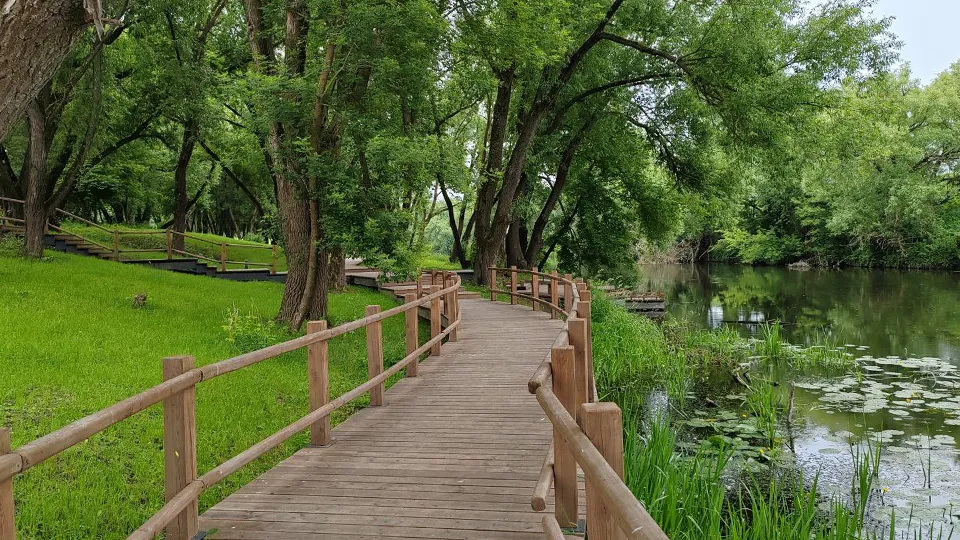 Фото: REGIONS/Евгений Мазепов