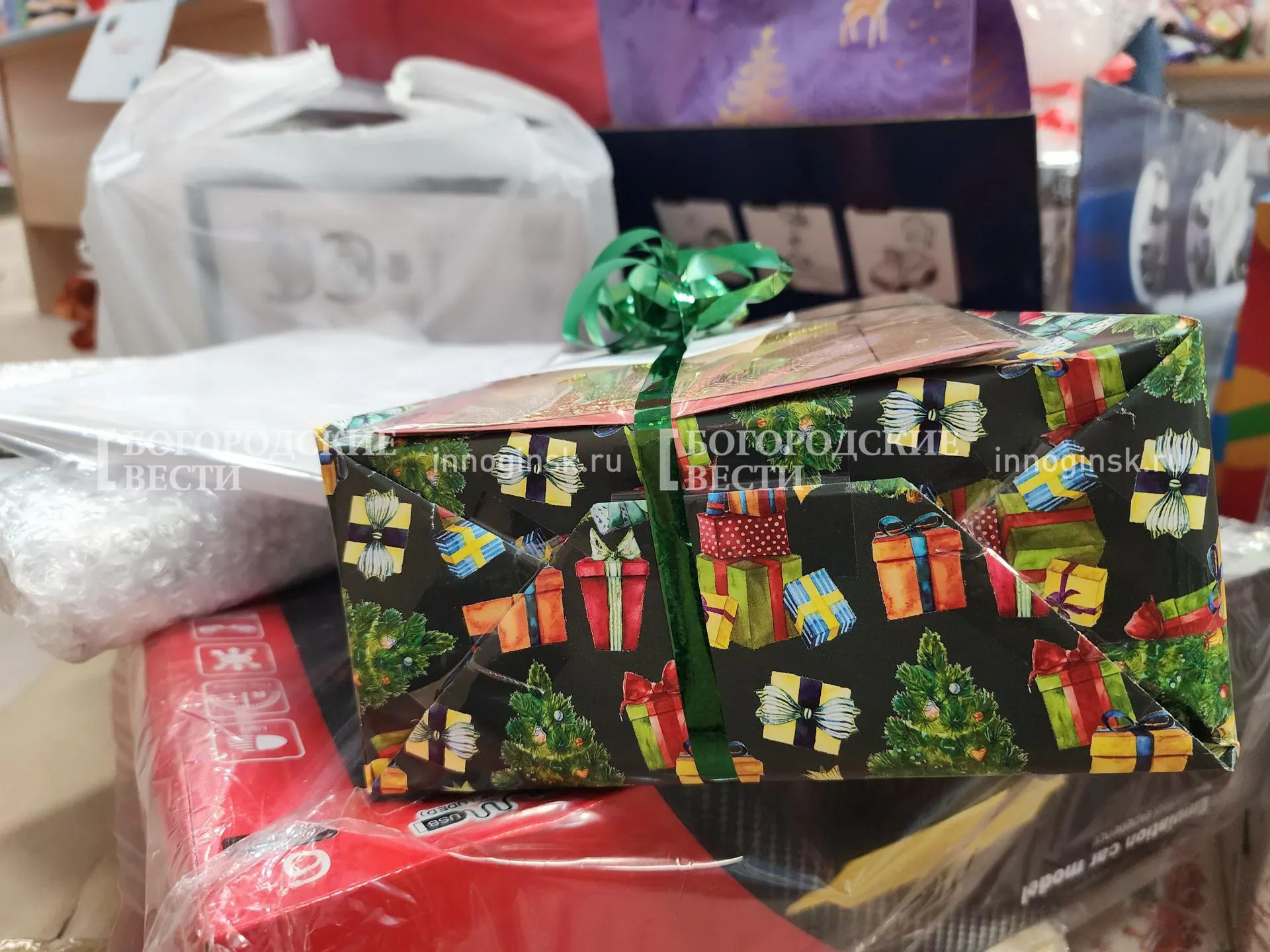 Фото: Ксения Пашуто