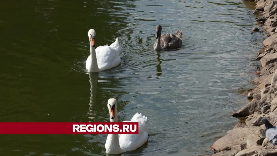 Фото: Дмитрий Зайчиков