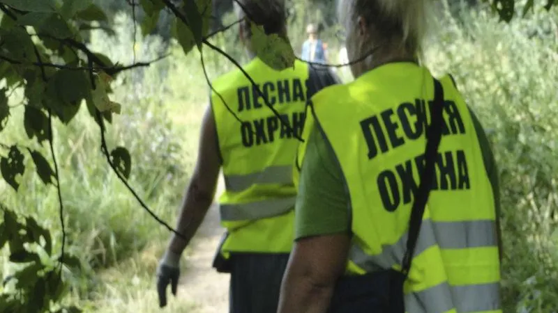 Комитет лесного хозяйства МО