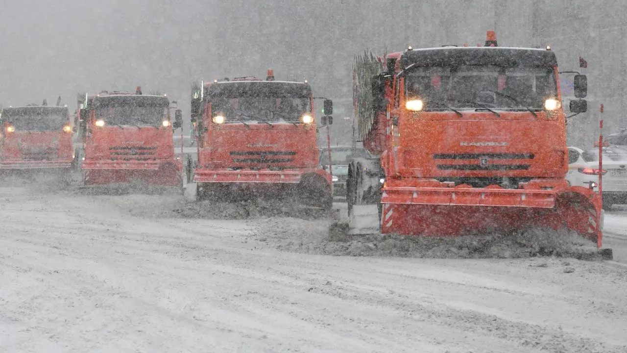 РИА Новости/Кирилл Каллиников