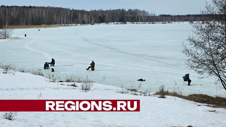 Фото: Александр Дрожжин