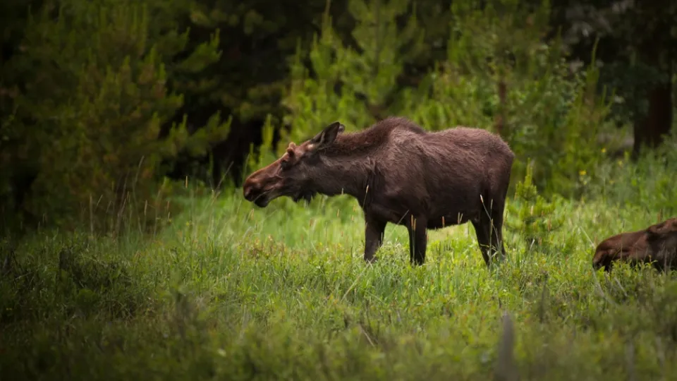 Фото: pxhere.com