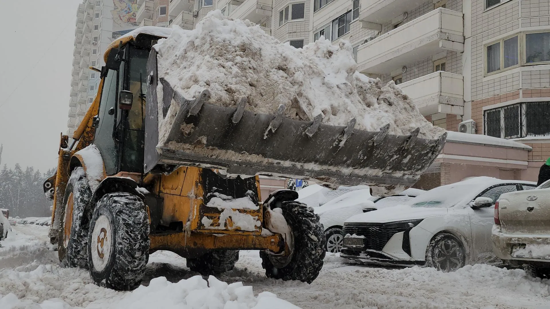 REGIONS/Кристина Ларина