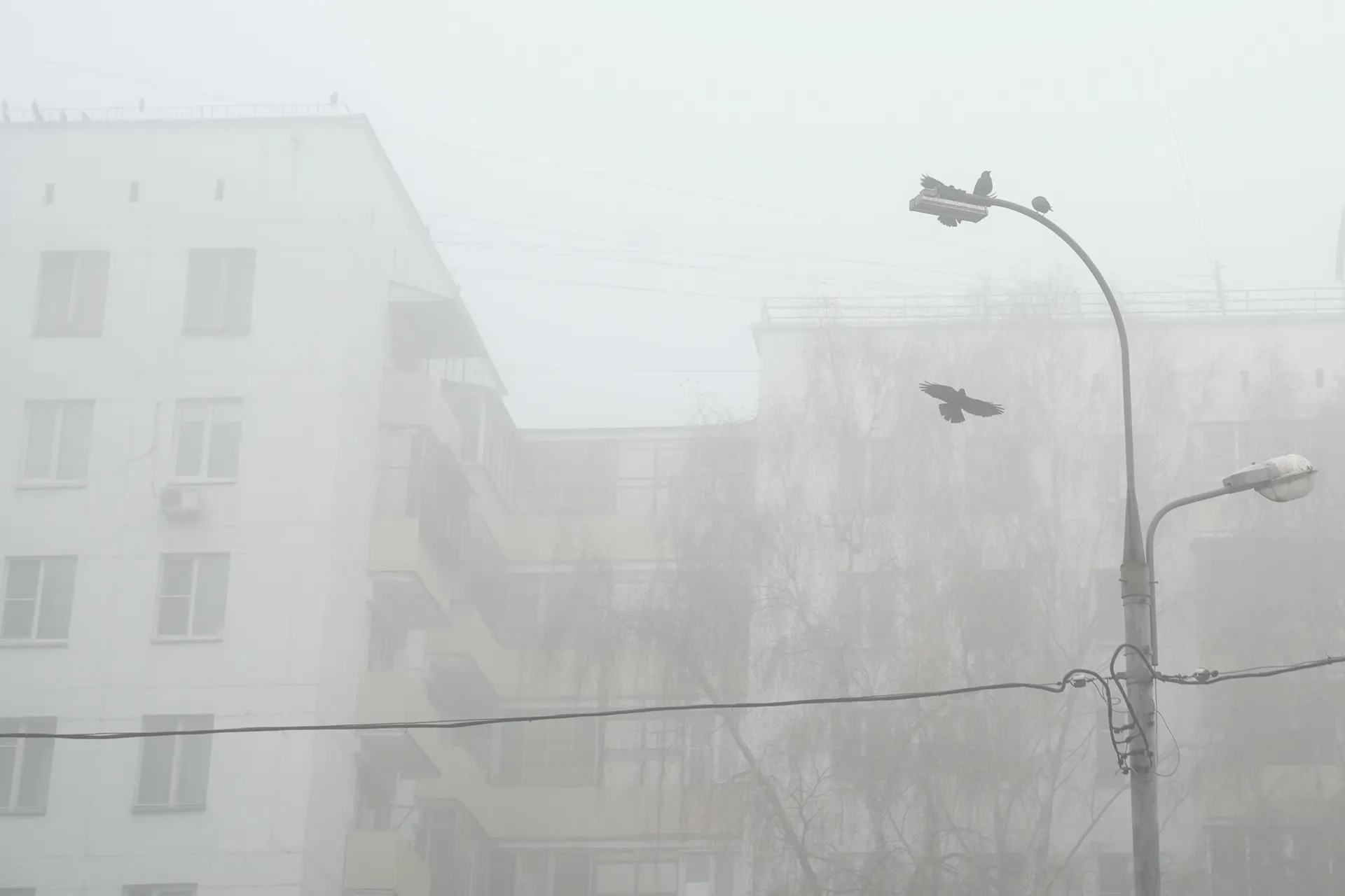 Аномальный туман в Москве
