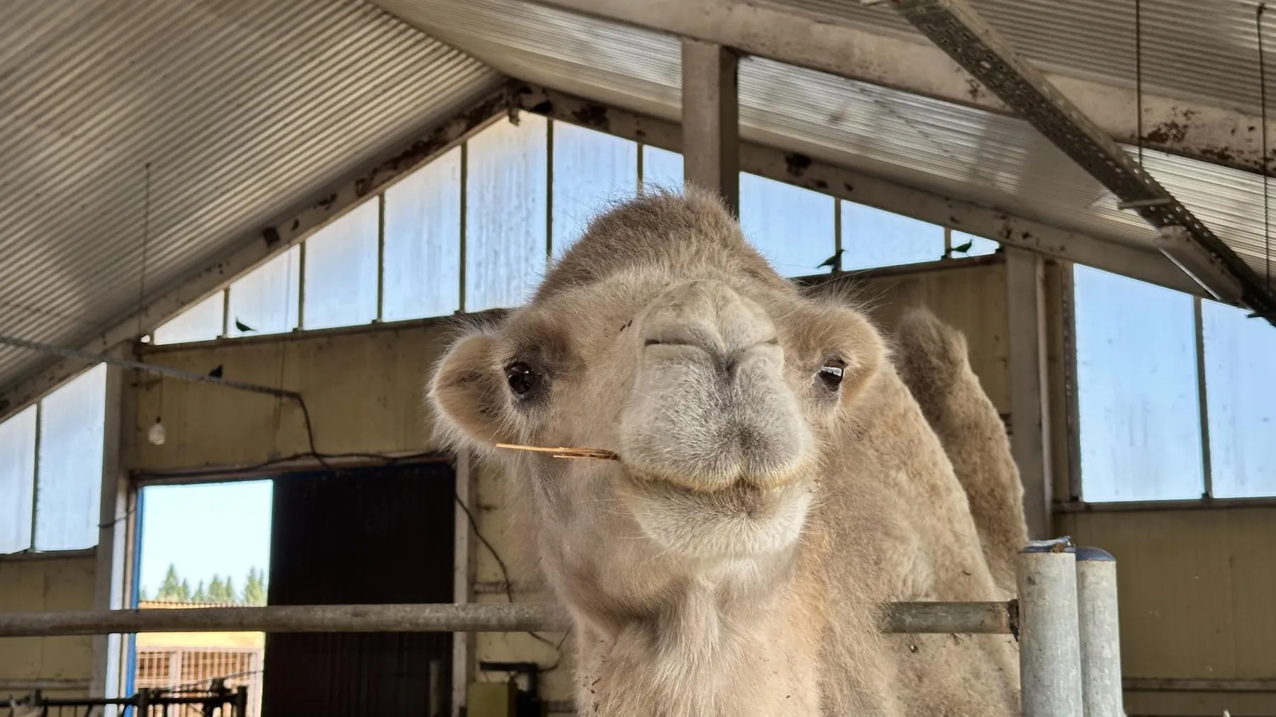 Фото: пресс-служба Администрации Можайского городского округа