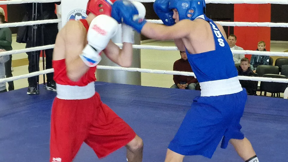 Фото: МедиаБанк Подмосковья/Виктория Фортуна