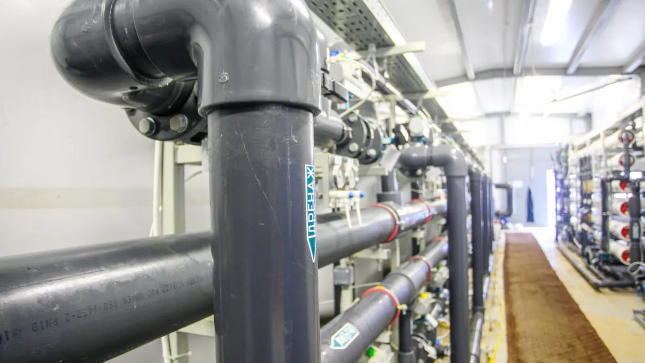 Фото: Анна Реппель