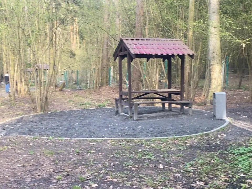 Фото: Елена Аботурова