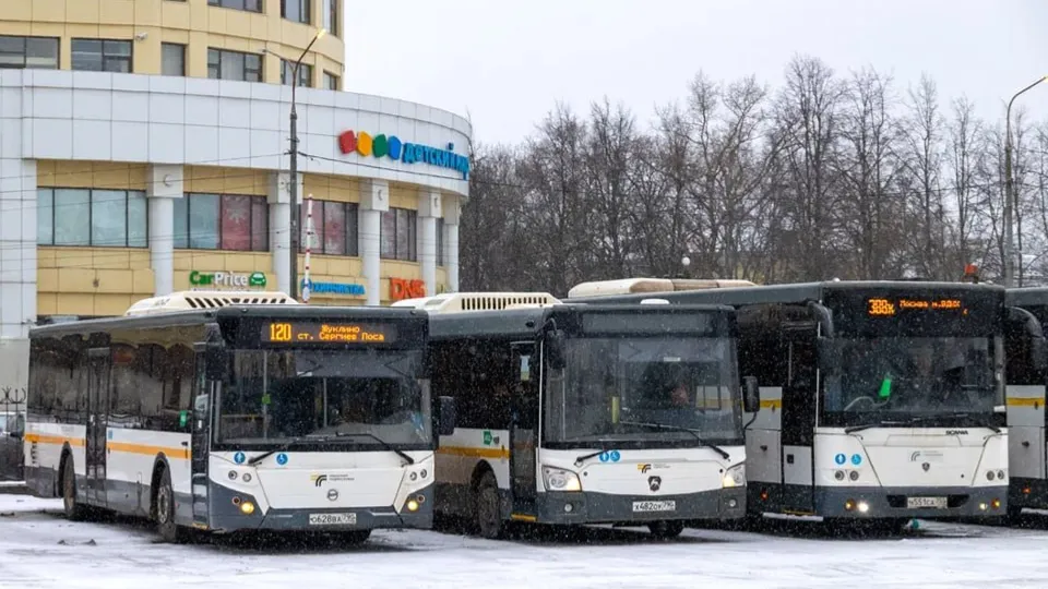 Фото: пресс-служба губернатора и правительства Московской области